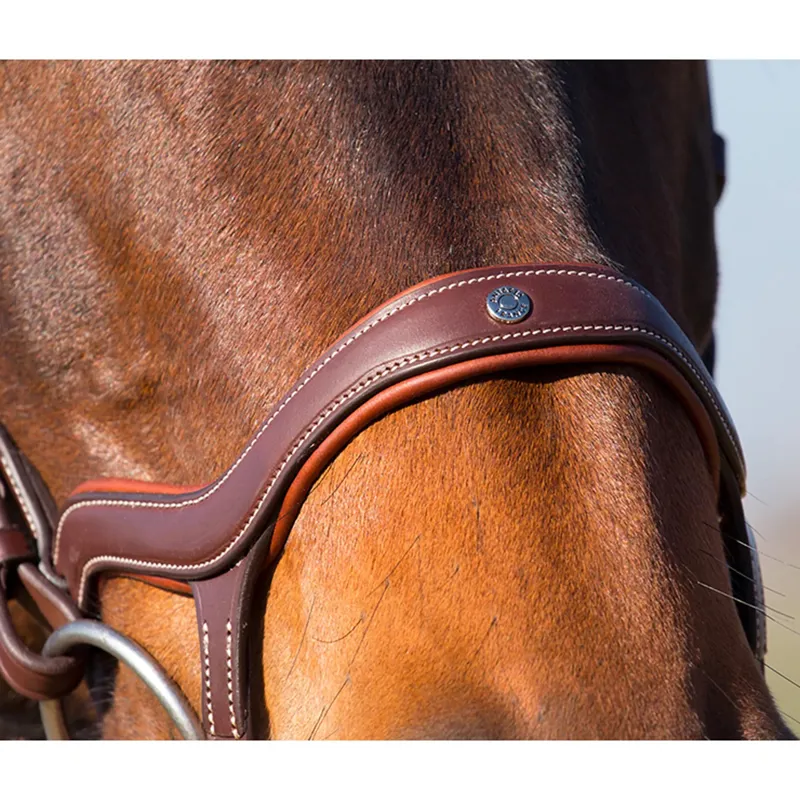 Antares Precision Y Noseband Bridle - Brown-4