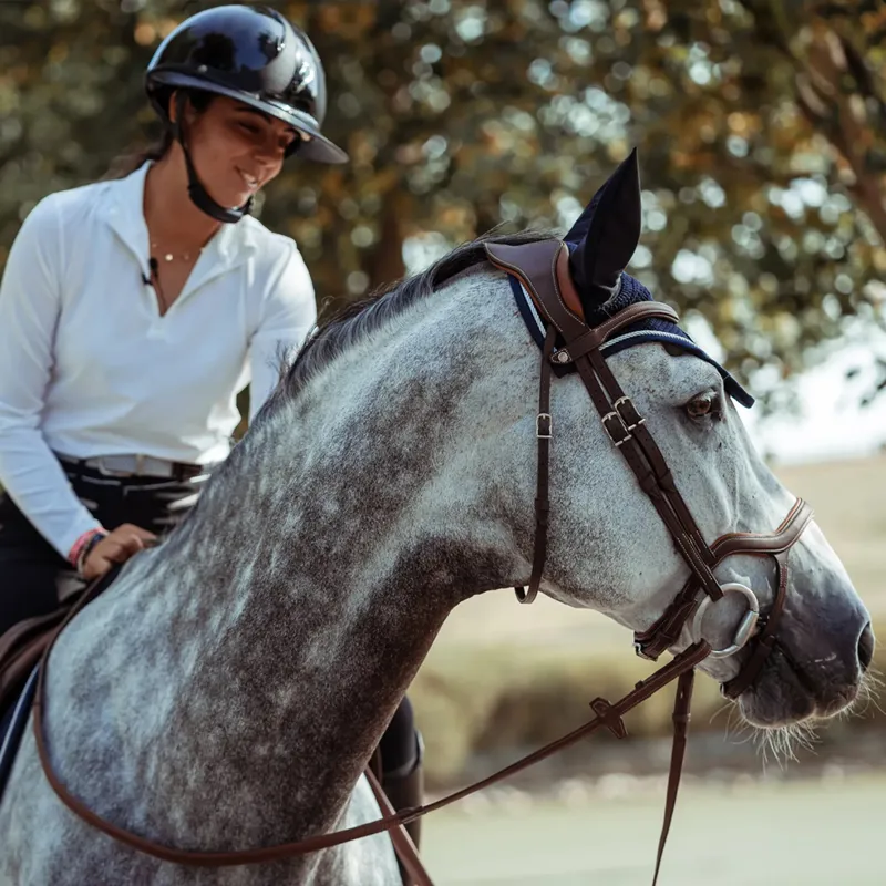 Antares Precision Y Noseband Bridle - Brown-1