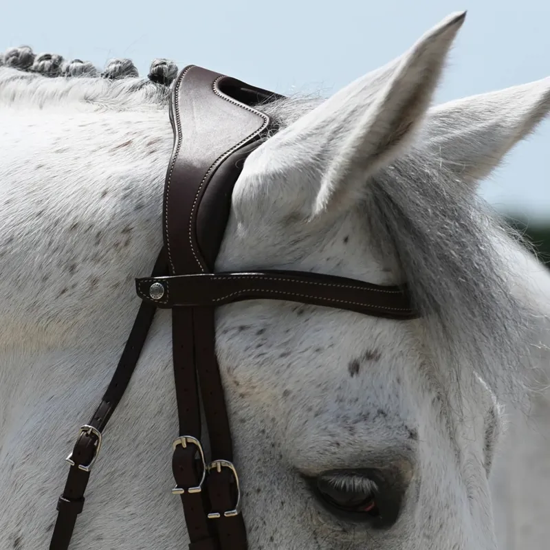 Antares Precision Y Noseband Bridle - Brown-2