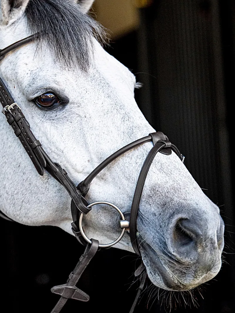 Equiline Rounded Noseband with Removable Flash - Black-1