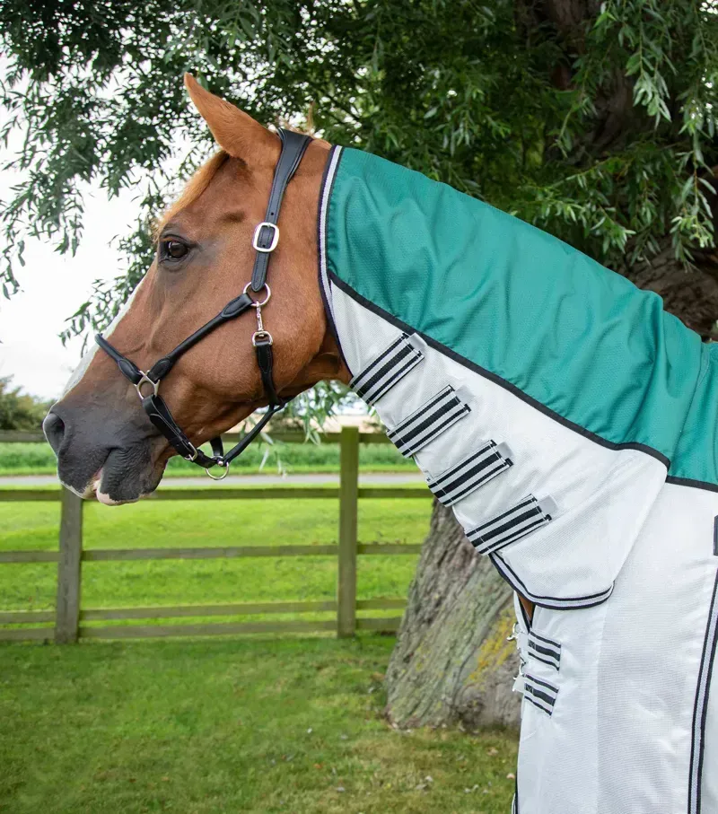 Premier Equine ShowerTex Fly Rug With Surcingles in Green-1