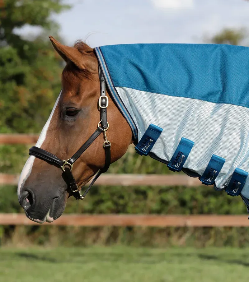 Stay-Dry Mesh Air Fly Rug With Surcingles / Blue-1