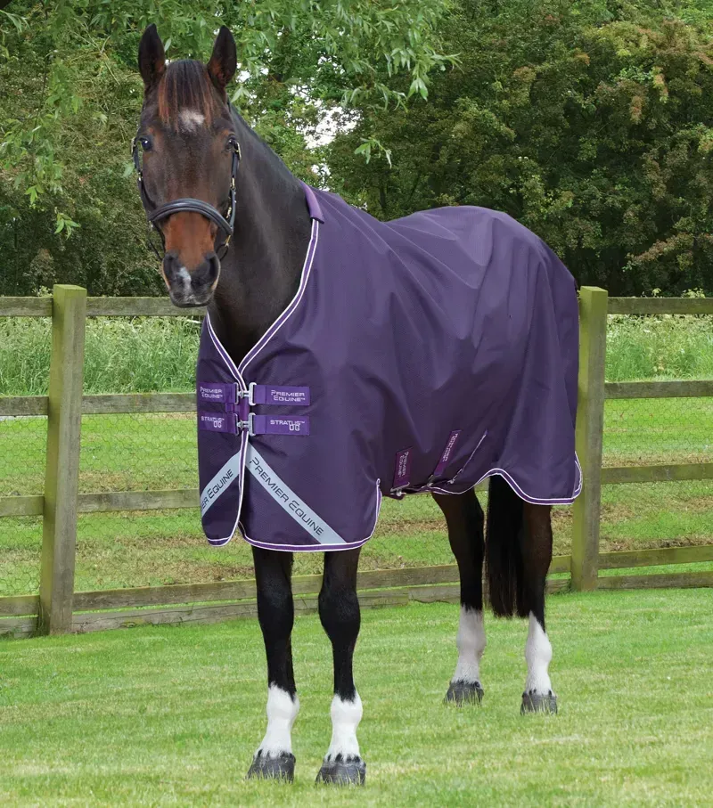 Premier Equine Stratus 600D Series 0g Original Turnout Rug in Purple