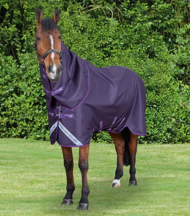 Premier Equine Stratus 600D Series 0g Turnout Rug with Classic Neck Cover in Purple