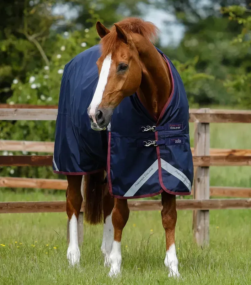 Titan 200g Original Turnout Rug / Navy