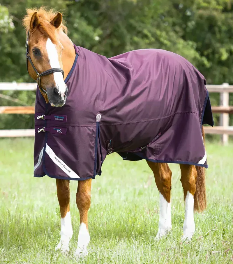 Titan 200g Turnout Rug With Snug-Fit Neck Cover / Purple