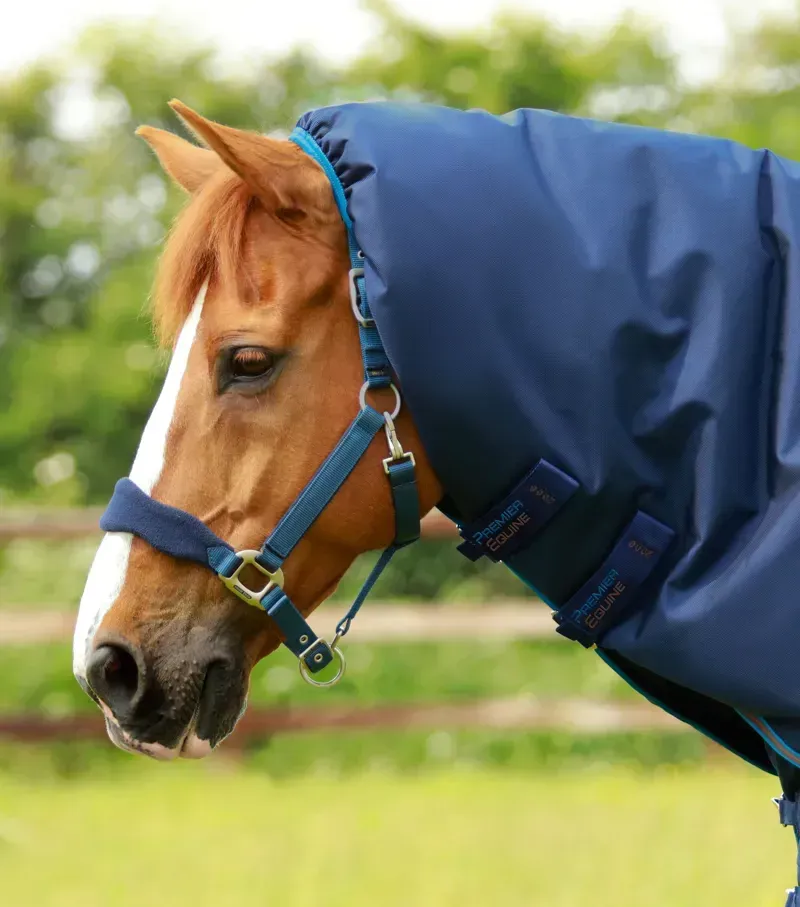 Titan 200g Turnout Rug With Snug-Fit Neck Cover / Navy-1