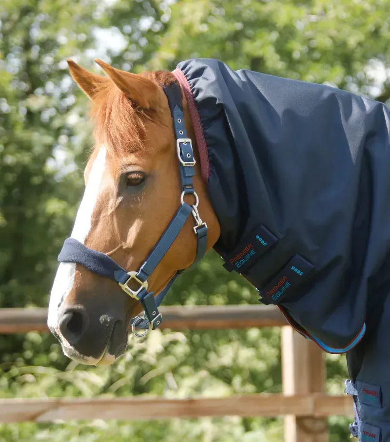 Titan Storm 200g Combo Turnout Rug With Snug Fit Neck / Navy-1